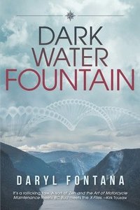 bokomslag Dark Water Fountain