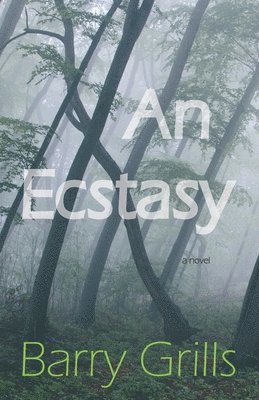 An Ecstasy 1