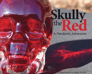 André Michel - Skully the Red: A Pandemic Adventure: A, Inbunden