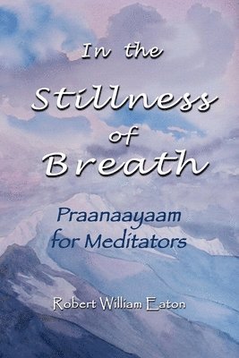 bokomslag In the Stillness of Breath: Praanaayaam for Meditators