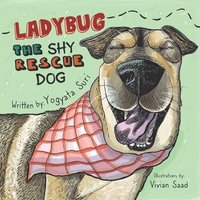 bokomslag Ladybug The Shy Rescue Dog
