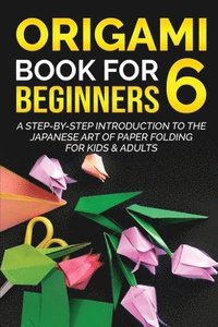 bokomslag Origami Book for Beginners 6