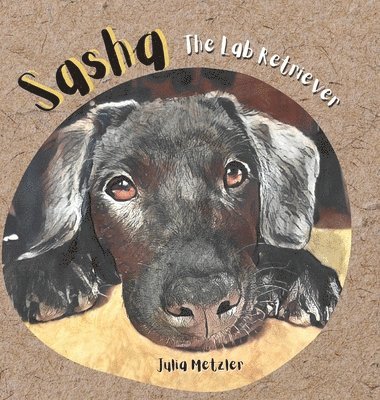 Sasha the Lab Retriever 1