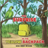 bokomslag The Surprise in the Yellow Backpack