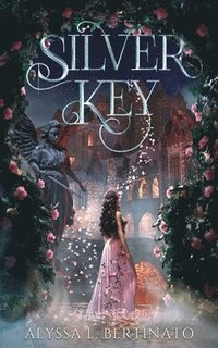 bokomslag Silver Key