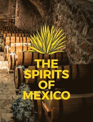 bokomslag The Spirits of Mexico