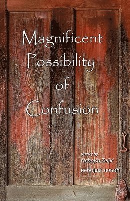 Tom Buxton - Magnificent Possibility of Confusion, Häftad