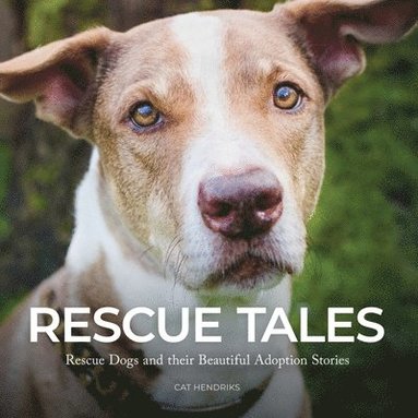 bokomslag Rescue Tales