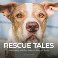 bokomslag Rescue Tales