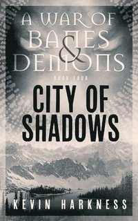 bokomslag City of Shadows