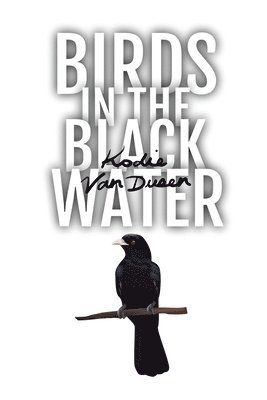 Birds in the Black Water 1