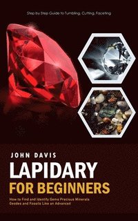 bokomslag Lapidary for Beginners