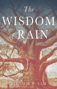 bokomslag Wisdom of Rain