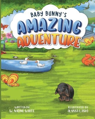 Baby Bunny's Amazing Adventure 1