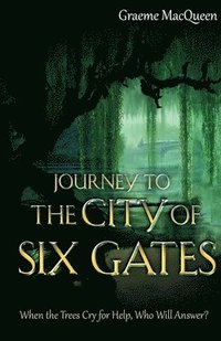 bokomslag Journey to the City of Six Gates