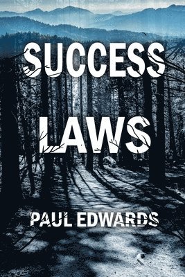 bokomslag Success Laws