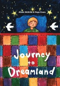 bokomslag Journey to Dreamland
