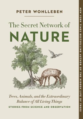 Peter Wohlleben - The Secret Network of Nature: Trees, Animals, and the Extraordinary Balance of All Living Things-- Stories from Science and Observation, Häftad