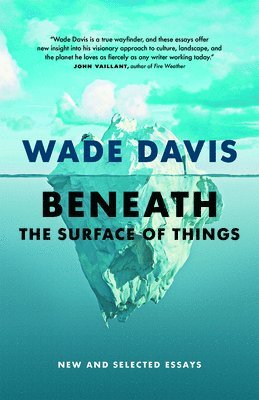 Beneath the Surface of Things 1