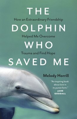 The Dolphin Who Saved Me 1