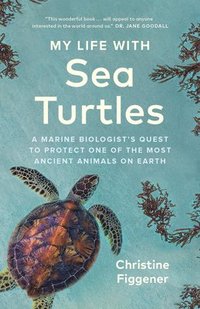 bokomslag My Life with Sea Turtles