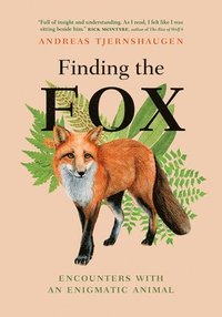 bokomslag Finding the Fox