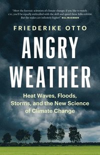 bokomslag Angry Weather