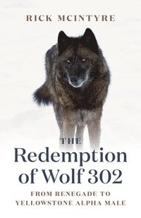 bokomslag The Redemption of Wolf 302