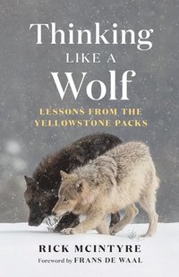 bokomslag Thinking Like a Wolf
