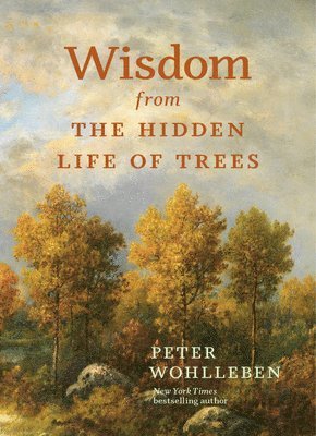bokomslag Wisdom from the Hidden Life of Trees