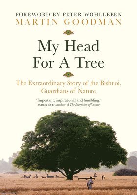 Martin Goodman - My Head for a Tree: The Extraordinary Story of the Bishnoi, Guardians of Nature, Inbunden