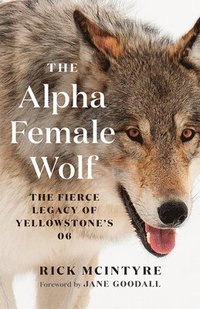 bokomslag The Alpha Female Wolf