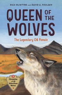 bokomslag Queen of the Wolves