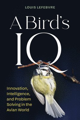 Louis Lefebvre - Bird's IQ, Inbunden