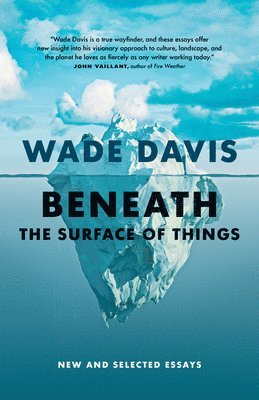 Wade Davis - Beneath the Surface of Things, Häftad