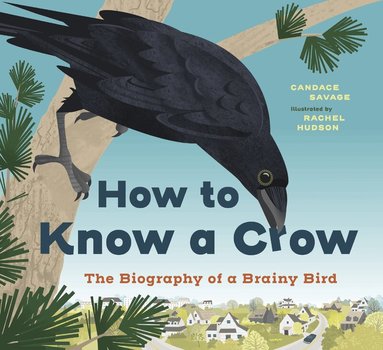 Candace Savage - How to Know a Crow, Häftad