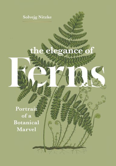 Solvejg Nitzke - Elegance of Ferns, Inbunden