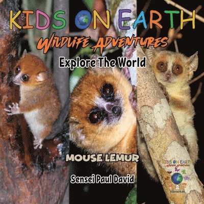 KIDS ON EARTH Wildlife Adventures - Explore The World Mouse Lemur - Madagascar 1