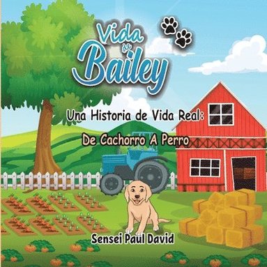 bokomslag Vida de Bailey Una Historia de Vida Real