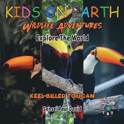 KIDS ON EARTH Wildlife Adventures - Explore The World Keel-Billed Toucan - Costa Rica 1