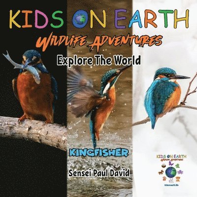 KIDS ON EARTH Wildlife Adventures - Explore The World Kingfisher - Madagascar 1
