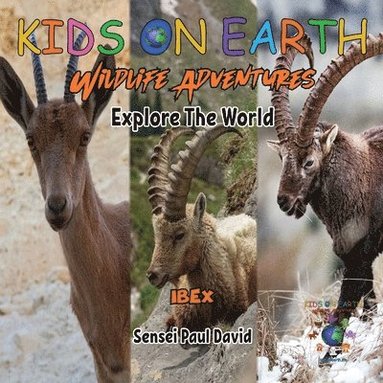 bokomslag KIDS ON EARTH Wildlife Adventures - Explore The World - Ibex - Israel