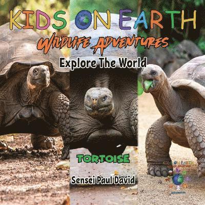 KIDS ON EARTH Wildlife Adventures - Explore The World Tortoise - Ecuador 1