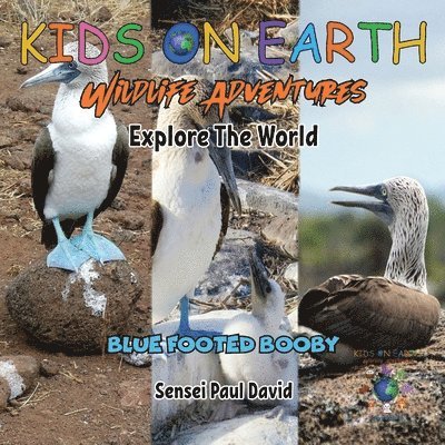 KIDS ON EARTH Wildlife Adventures - Explore The World Blue Footed Booby - Ecuador 1