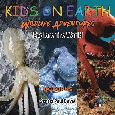KIDS ON EARTH Wildlife Adventures - Explore The World Octopus - Maldives 1