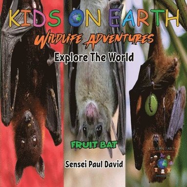 bokomslag KIDS ON EARTH Wildlife Adventures - Explore The World - Fruit Bat - Maldives