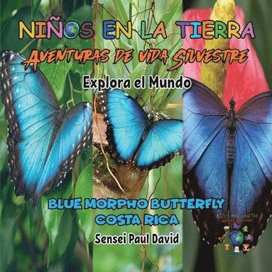 bokomslag Nin&#771;os en la Tierra - Aventuras de vida Silvestre - Explora el Mundo Blue Morpho Butterfly - Costa Rica