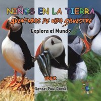 bokomslag Nin&#771;os en la Tierra Aventuras de vida Silvestre - Explora el Mundo Puffin - Iceland