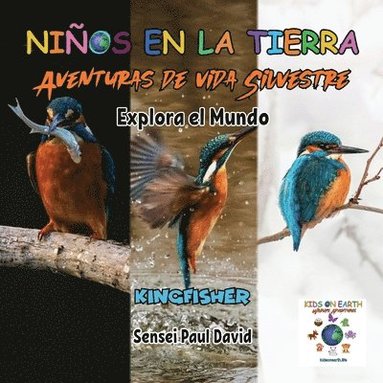 bokomslag Nin&#771;os en la Tierra - Aventuras de vida Silvestre - Explora el Mundo Kingfisher - Madagascar