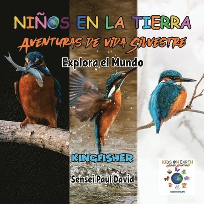 Niños en la Tierra - Aventuras de vida Silvestre - Explora el Mundo Kingfisher - Madagascar